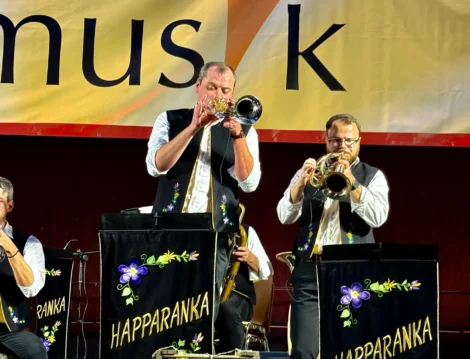 kronjuwelen-der-blasmusik-festival-saarland-9